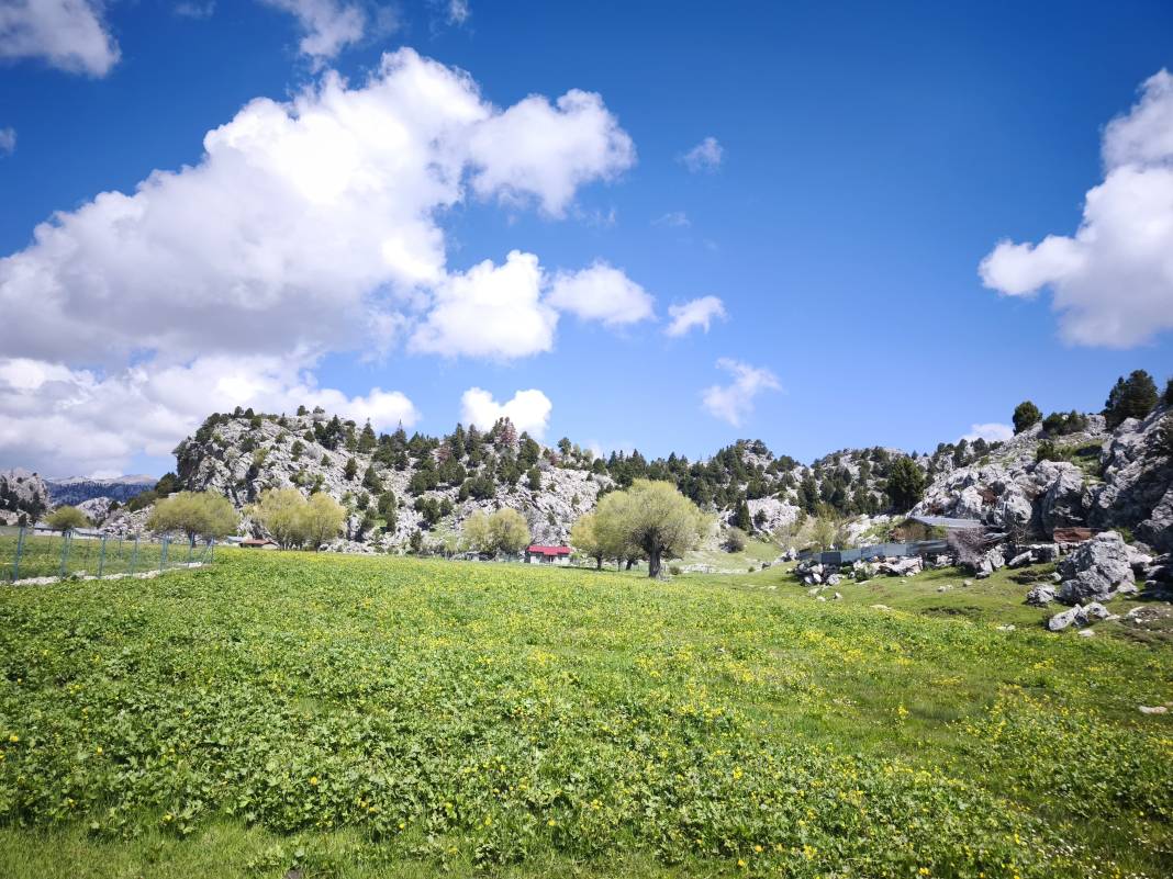 Konya’nın ünlü yaylasında baharın renkli yüzü çıktı 19